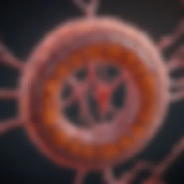 Advanced Imaging Techniques in Cancer Detection Visualization of imaging techniques used in bowel cancer diagnosis