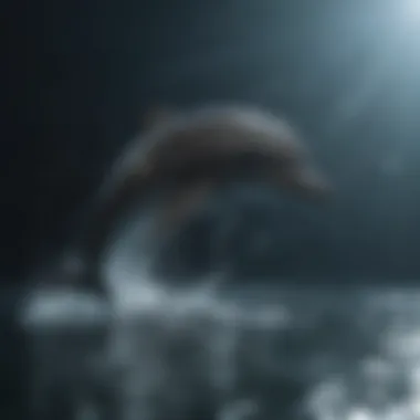 Exploring Diverse Applications of the Dolphin Model in Science Applications of the dolphin model in science