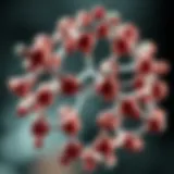 Molecular structure of dorsomorphin
