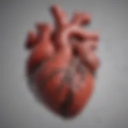 Visual representation of cardiac morphology in eccentric heart failure