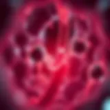 Illustration of embedded UTIs pathology