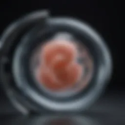 Innovative embryo transport techniques