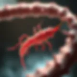 Eradicating H. Pylori: A Comprehensive Approach Introduction