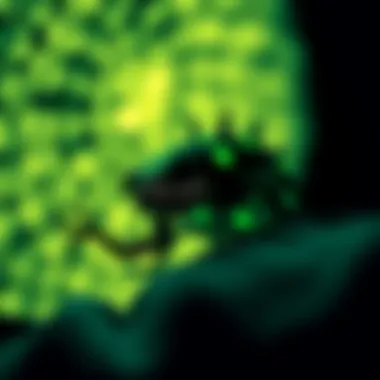 Ethical Aspects of Bioluminescence Imaging Visual representation of ethical considerations in bioluminescence imaging