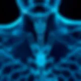 Examining the Role of Probiotics on Thyroid Function Introduction