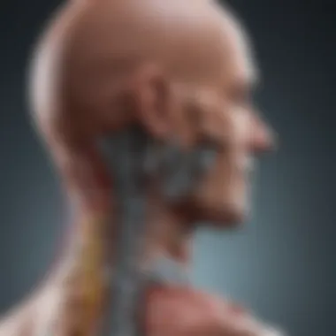 Recent Advancements in Spinal Surgery Graph depicting advancements in spinal surgery technology