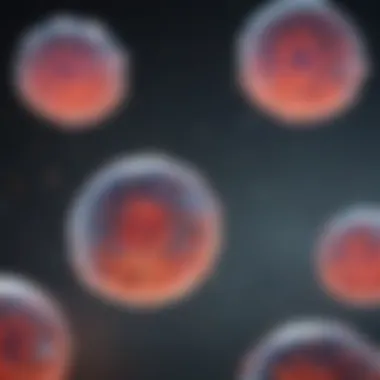 Cell Line Development Overview Visual overview of cell line development