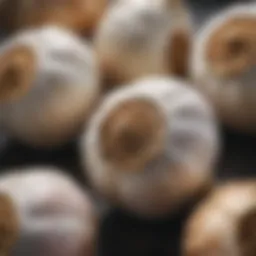 Close-up of garlic bulbs showcasing their texture and color.