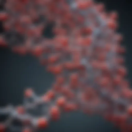 Molecular structure of beta lactoglobulin