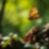 Exploring Biodiversity Solutions: Strategies for Preservation and Enhancement Introduction