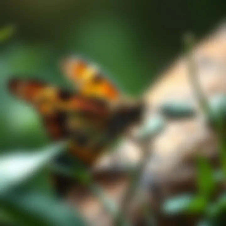 Notable Exploring Biodiversity Solutions: Strategies for Preservation and Enhancement