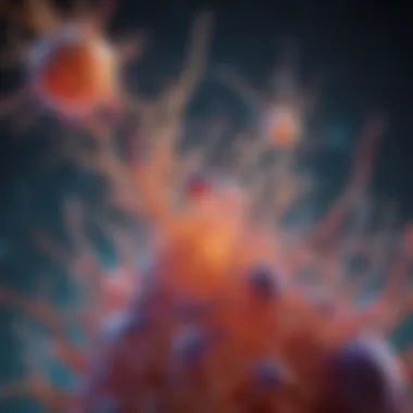 Cell Signaling Mechanisms of MSC Exosomes Visualization of the mechanisms of cell signaling mediated by MSC exosomes
