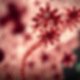 Illustration of MGUS pathology