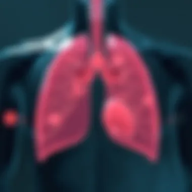 Lung function assessment