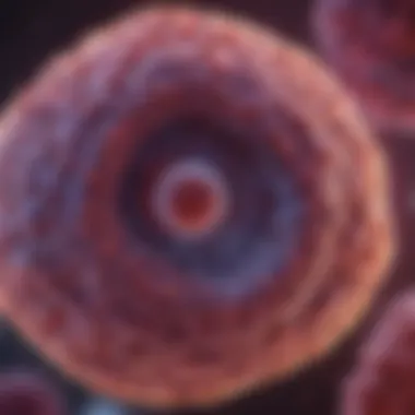 Advanced Imaging Techniques for Pancreatic Cancer Detection Advanced imaging techniques for pancreatic cancer detection