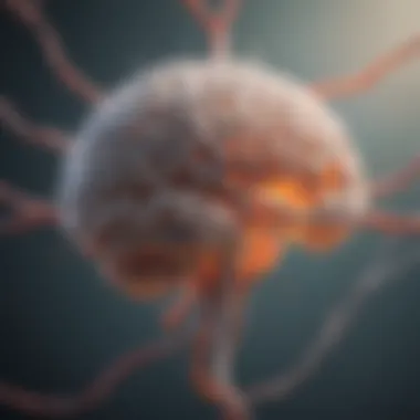 Illustration of serotonin pathways in the brain