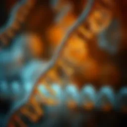 Conceptual representation of genetic variations