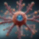 Exploring GLP-1 Receptor Agonist Drugs: Mechanisms, Applications, and Future Directions Introduction