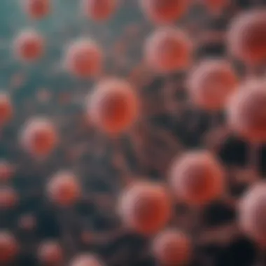 Microscopic Examination of Bladder Cancer Cell Lines Microscopic view of bladder cancer cell lines in culture