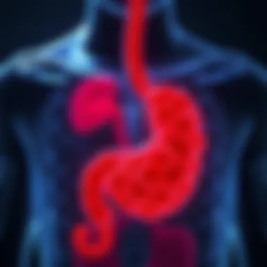 Exploring Immunotherapy for Stage 4 Stomach Cancer Summary