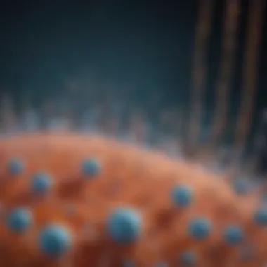Applications of Liposomes in Gene Therapy and Vaccines Graph illustrating applications of liposomes in gene therapy and vaccines