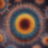 Illustration of liposome structure and composition