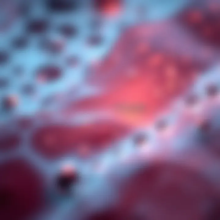 Market dynamics of liquid crystal polymers