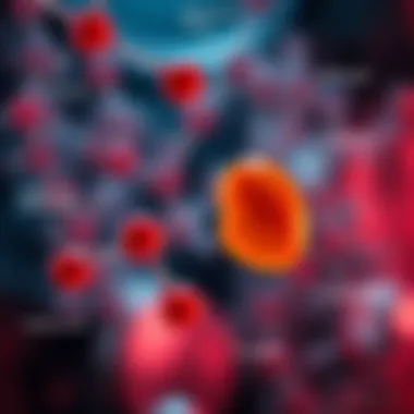 Biochemical Mechanisms of Liquid Liver Extract Infographic presenting biochemical mechanisms of liquid liver extract