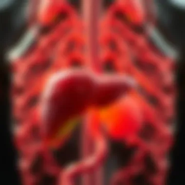 Pharmacological treatments for liver abscess recovery