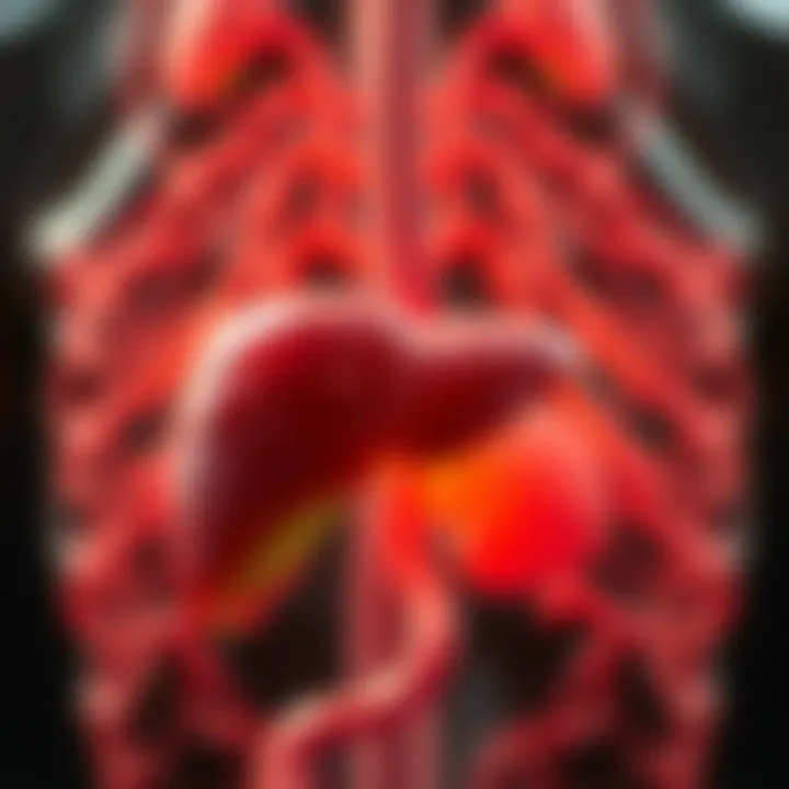 Pharmacological treatments for liver abscess recovery