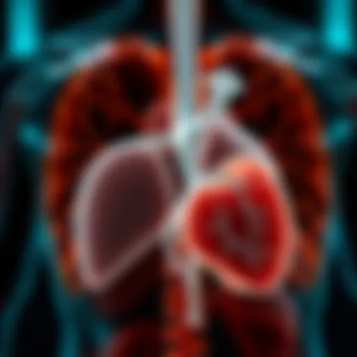 Understanding the Mechanisms of Liver Decompensation Mechanisms of liver decompensation