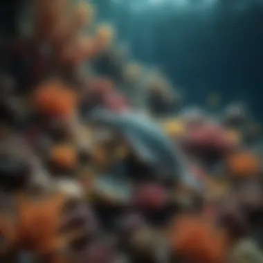 An underwater scene showing diverse marine life