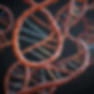 Diagram showcasing the role of metabolic DNA in gene regulation and expression