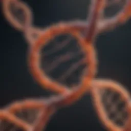 Illustration of metabolic DNA interactions within cellular pathways