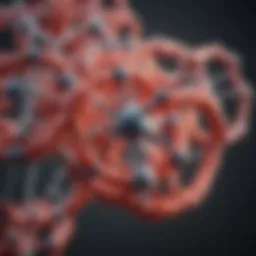 Molecular structure of Myc protein