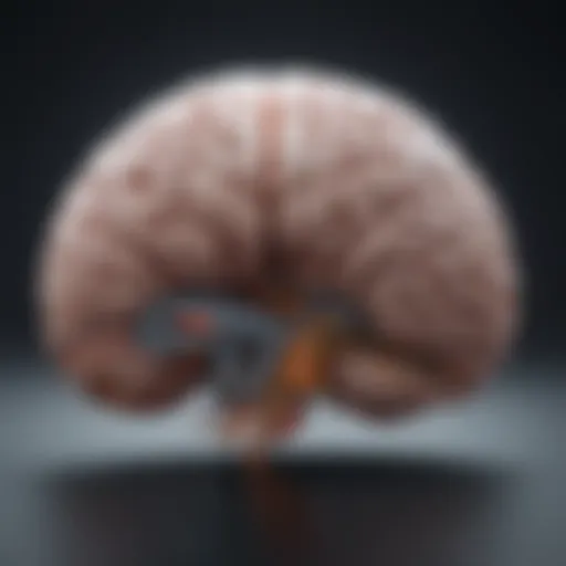 Illustration depicting the brain regions associated with memory