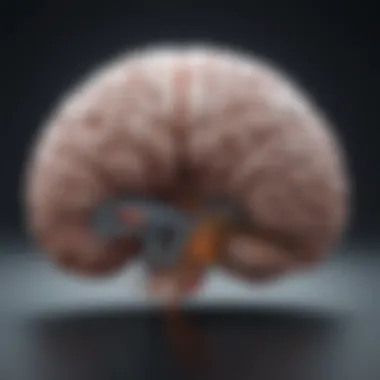 Brain Regions Linked to Memory Enhancement Illustration depicting the brain regions associated with memory
