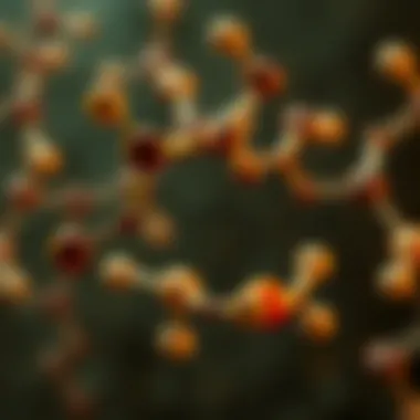 Chemical structure of phenol showcasing its hydroxyl group
