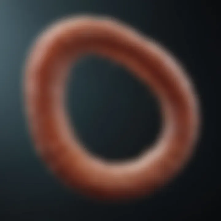 Lifecycle stages of pinworms