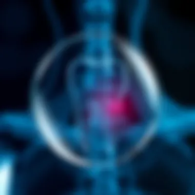 Mechanisms of Pain Relief by Aspirin Diagram illustrating aspirin's pain relief mechanism