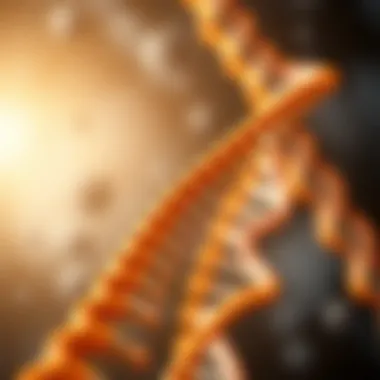 Representation of homologous recombination repair pathway