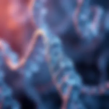 Clinical applications of RAD52 antibodies in diagnostics