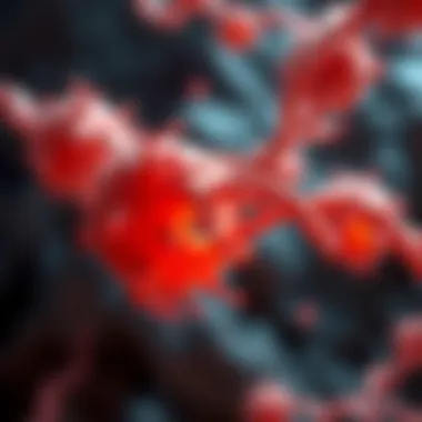 Visualization of RAD52 protein in cellular context