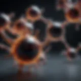 Dynamic representation of molecular structures through animations