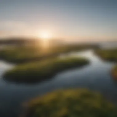 Coastal Landscape of Seaweed Farms A serene coastal landscape showcasing vibrant seaweed farms
