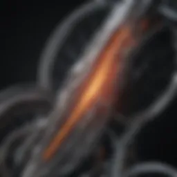 Visual representation of the spinal cord injury and its impact on mobility