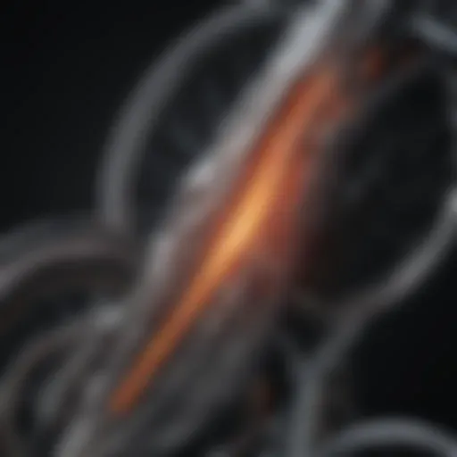 Visual representation of the spinal cord injury and its impact on mobility