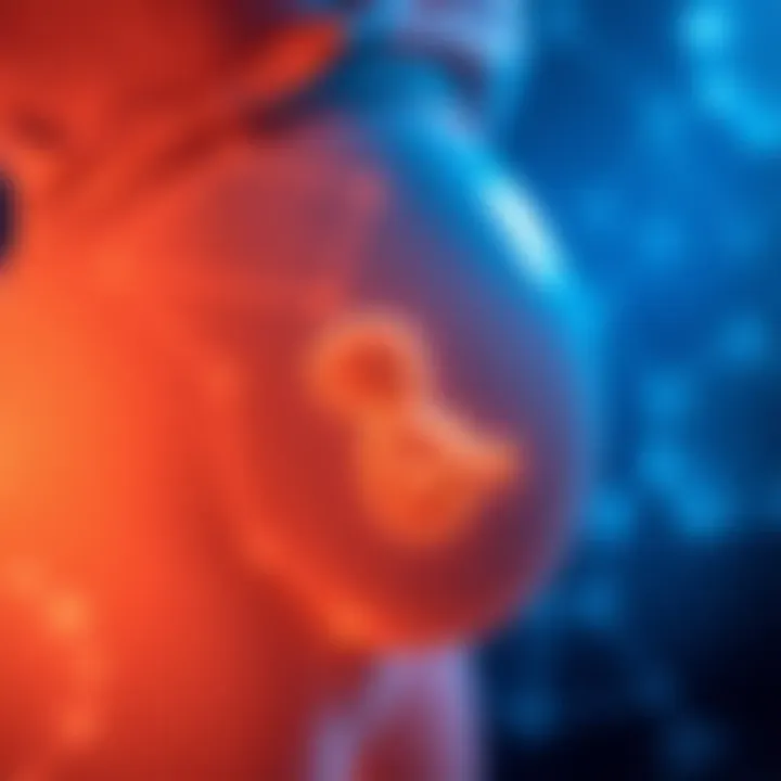 Maternal and Fetal Health Connection Visual representation of maternal and fetal health connection