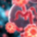 Illustration of probiotics interacting with gut flora