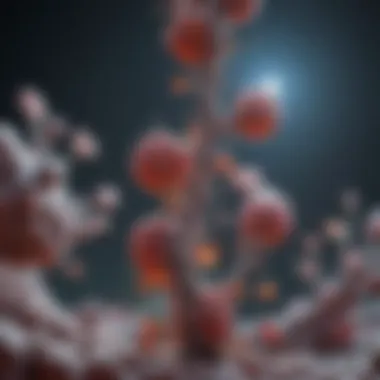 Histamine Receptors and Interactions Histamine receptors and their interactions